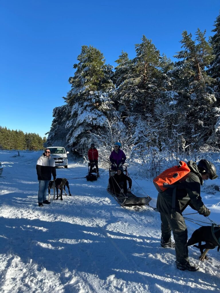 Activité Team Building
