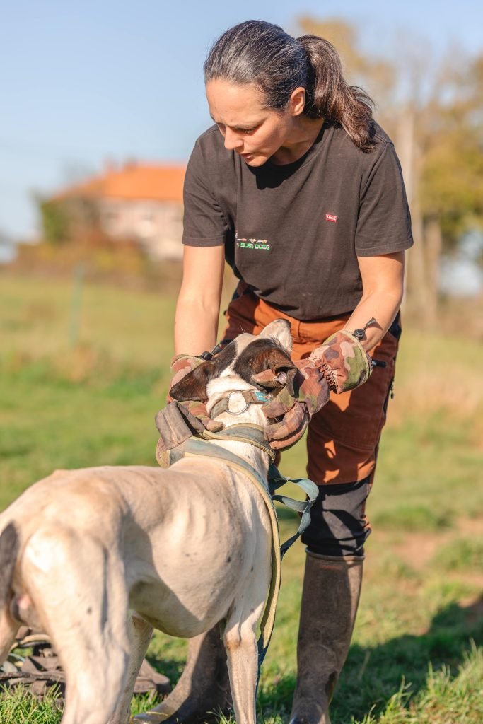 Musher et son chien