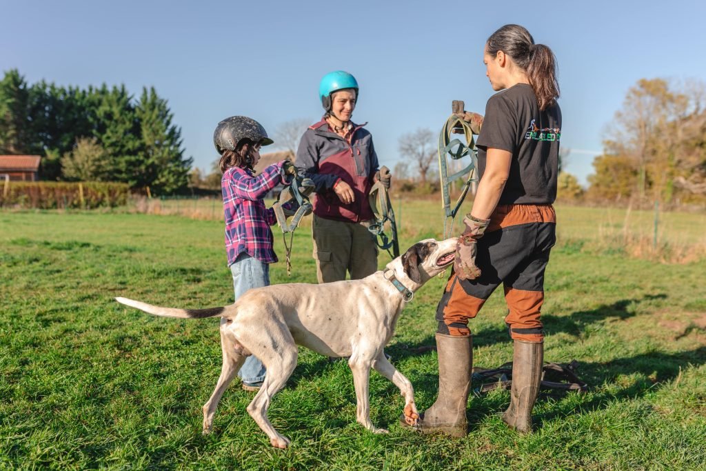 Initiation mushing