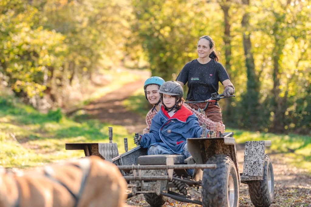 Initiation enfant kart (chiens de traineaux)