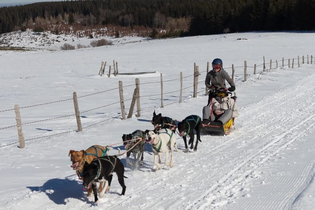 Activité en famille Sancy
